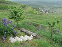 IMG_0148k.jpg